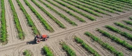 Türkiye tarımsal hasılada Avrupa lideri oldu