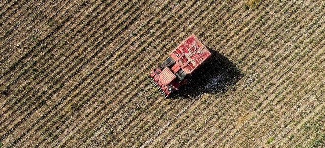 Türkiye tarımsal hasılada ilk 7 ülke arasına girdi