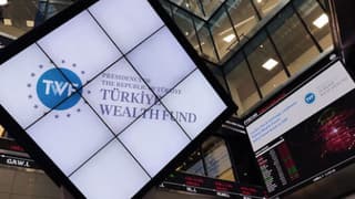 Türkiye Varlık Fonu'ndan altın hamlesi