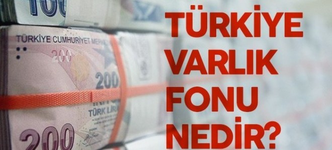 Türkiye Varlık Fonu Nedir?
