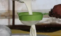 TÜSEDAD hesapladı: Çiğ sütün üretim maliyeti belli oldu