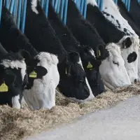 TÜSEDAD uyardı: Üretimden çekilme riski artıyor