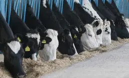 TÜSEDAD uyardı: Üretimden çekilme riski artıyor