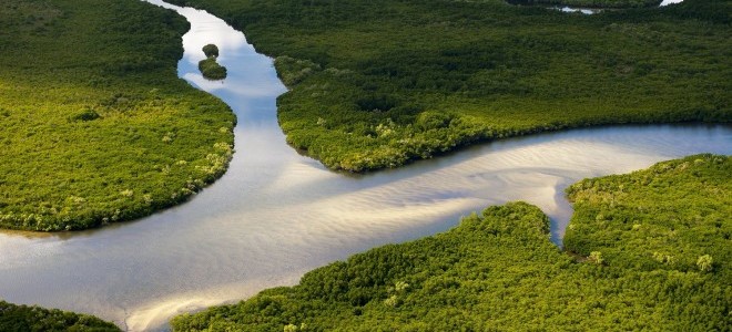 Tüsiad / Bilecik: Doğal Kaynaklarımız Hızla Tükeniyor