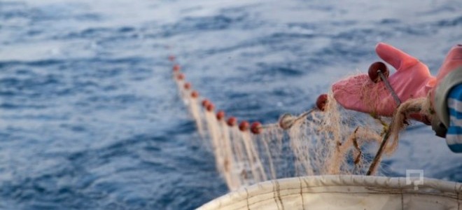 Tzob Başkanı Bayraktar: Av Yasağı 1 Eylül’De Sona Erecek