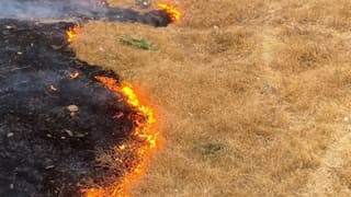 TZOB Başkanı Bayraktar'dan 