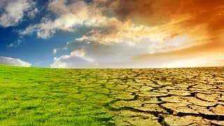 Tzob Başkanı Bayraktar: Üreticimize Sesleniyorum, Tmo’yu Bekleyin