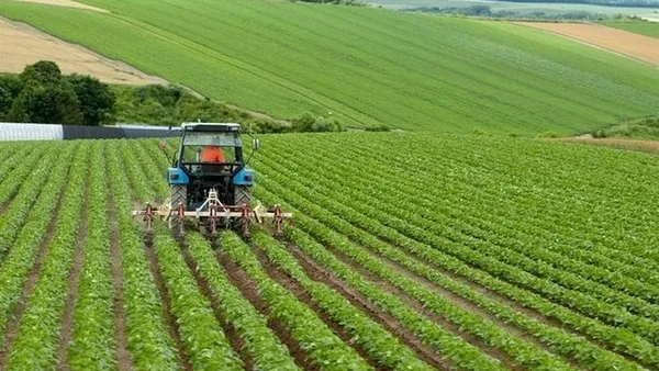 TZOB Başkanı Şemsi Bayraktar'dan gübre ve mazot desteği talebi