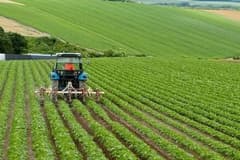 TZOB Başkanı Şemsi Bayraktar'dan gübre ve mazot desteği talebi