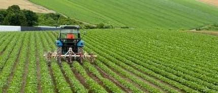 TZOB Başkanı Şemsi Bayraktar'dan gübre ve mazot desteği talebi