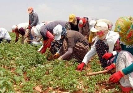 TZOB/Bayraktar: Tarım Alanlarımızı Gözümüz Gibi Koruyalım
