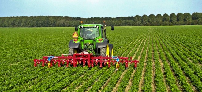 TZOB/Bayraktar: 'Tarımda ithalata dikkat etmek gerekir'