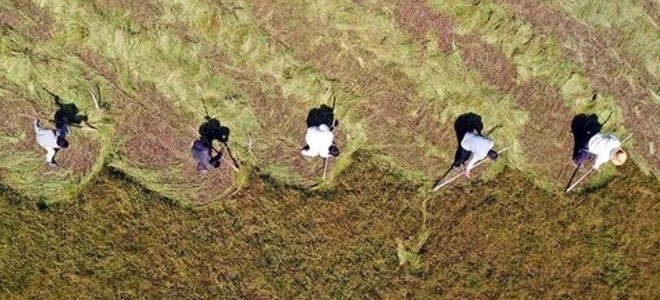 TZOB’dan emekli çiftçiler için 5 bin liralık ikramiye talebi