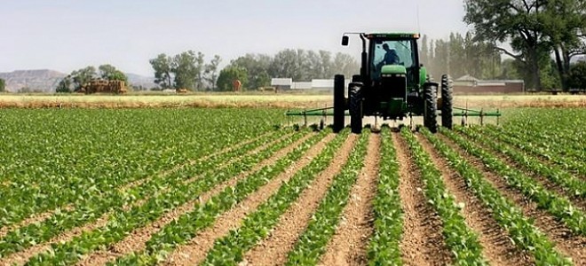 TZOB Genel Başkanı Bayraktar: 