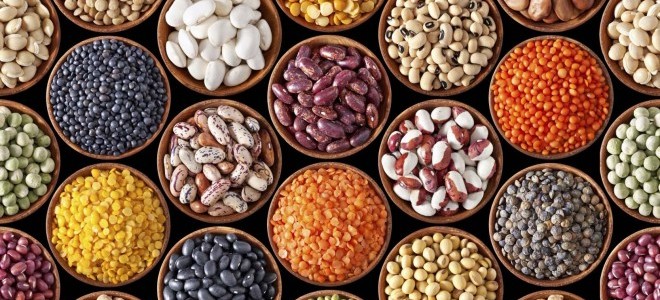 TZOB Genel Başkanı Bayraktar: 