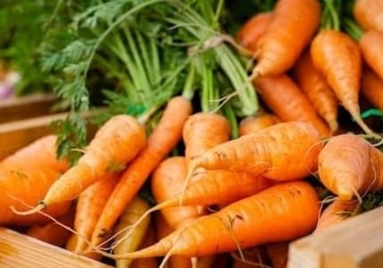 TZOB: Havuçta üretici ile market fiyatları arasındaki fark yüzde 249 oldu
