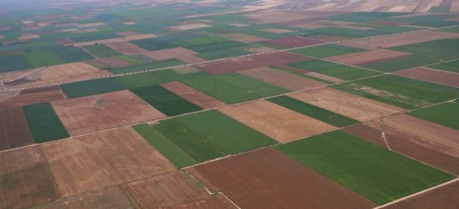 Üç ilde bazı arazilerde toplulaştırma yapılacak