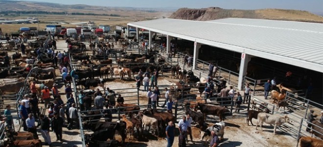 Ülke genelinde hayvan pazarları kapatıldı