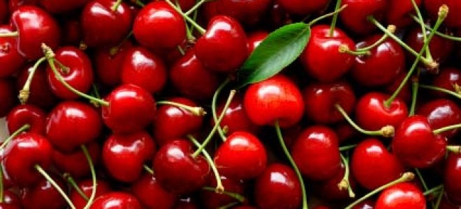 Üreticide Kirazın Fiyatı 150 Liradan 5 Liraya Kadar Düştü