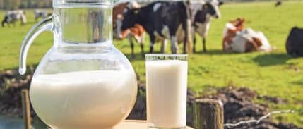 USK, çiğ süt tavsiye fiyatını belirledi
