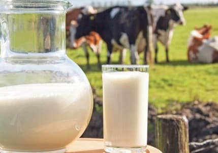USK, çiğ süt tavsiye fiyatını belirledi