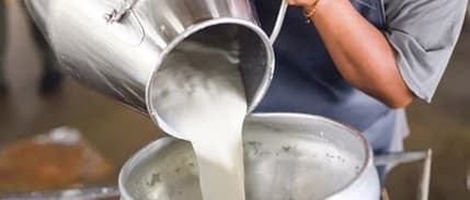 USK, çiğ süt tavsiye fiyatını belirledi