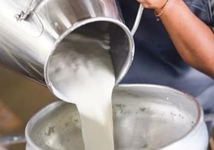 USK, çiğ süt tavsiye fiyatını belirledi