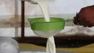 USK, çiğ süt tavsiye fiyatını sabit tuttu