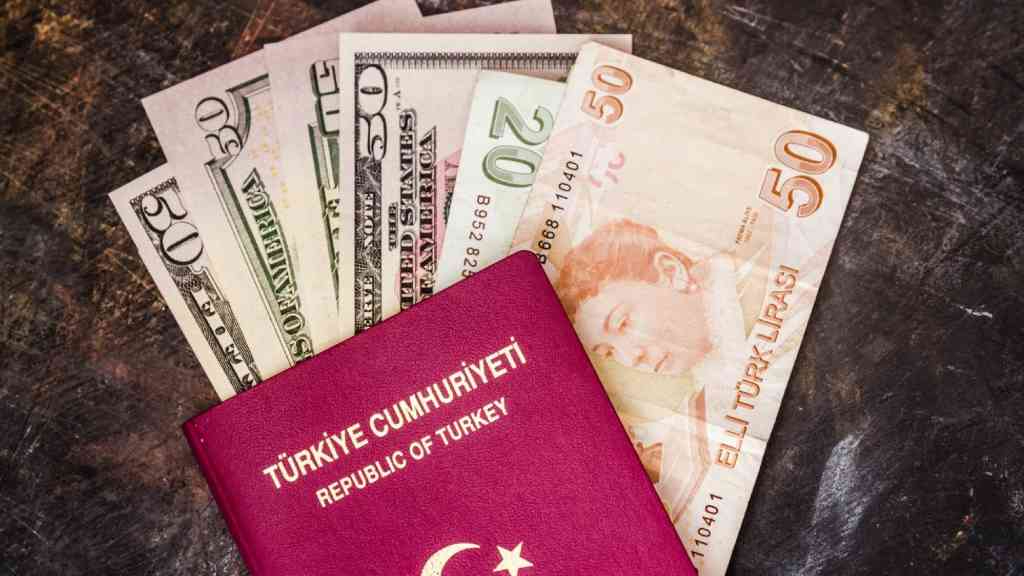 Usulsüz vatandaşlık soruşturmasında 30 şirkete kayyım atandı