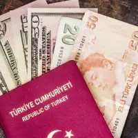 Usulsüz vatandaşlık soruşturmasında 30 şirkete kayyım atandı