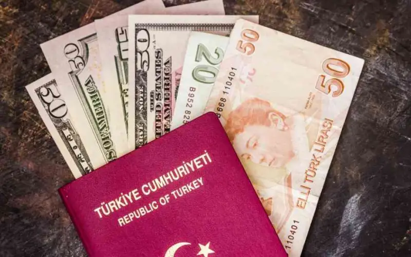 Usulsüz vatandaşlık soruşturmasında 30 şirkete kayyım atandı