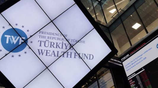 Varlık Fonu'ndan Türkiye Sigorta'da pay satışı