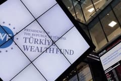 Varlık Fonu'ndan Türkiye Sigorta'da pay satışı