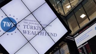 Varlık Fonu'ndan Türkiye Sigorta'da pay satışı