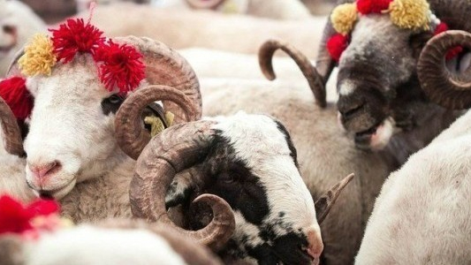 Vekaletle kurban kesim bedeli açıklandı