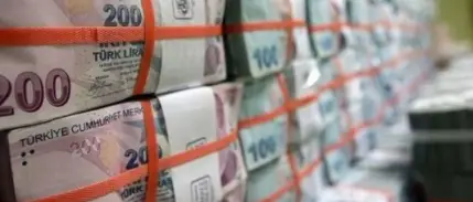 Vergi rekortmeni kurumlar listesine finans sektörü damga vurdu