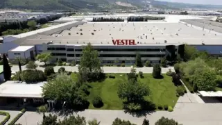 Vestel'den altın madeni kararı