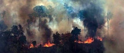 VF Corp. Amazon yangınları nedeniyle Brezilya’dan deri alımını durdurdu