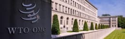 WTO en zorlu sorunlarla karşı karşıya