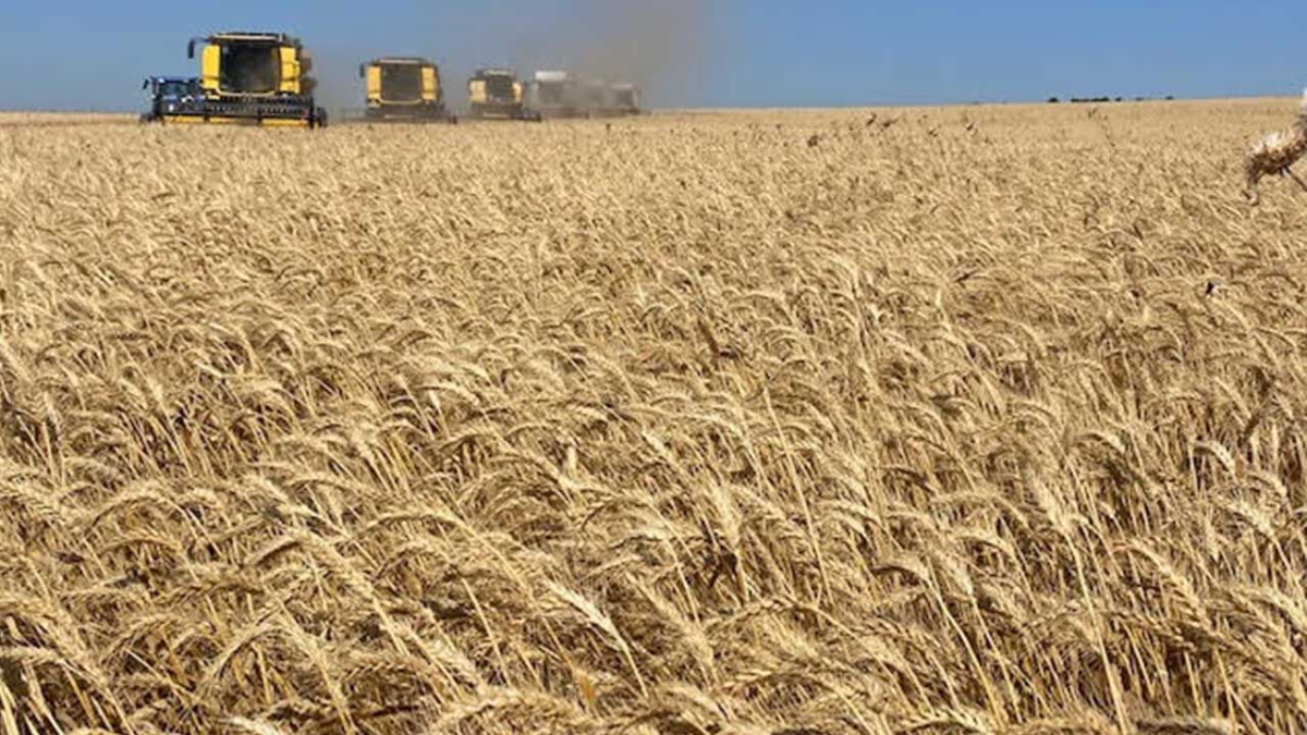 Yem maliyetlerindeki düşüşün et ve süt fiyatlarına yansıması bekleniyor