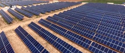 Yeni saadet zinciri: Güneş Tarlası