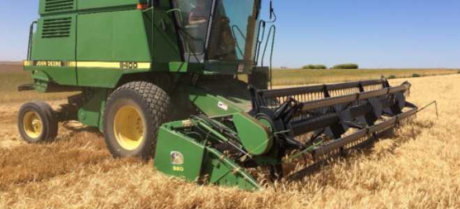 Yeni Tahminler Küresel Tahıl Üretiminde Rekora İşaret Ediyor