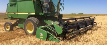 Yeni Tahminler Küresel Tahıl Üretiminde Rekora İşaret Ediyor