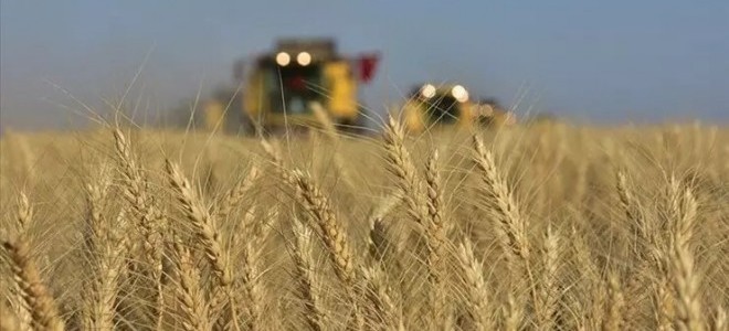 Yeniden Refah'tan 2025 yılı hububat alım fiyatlarına tepki