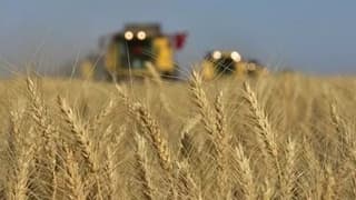 Yeniden Refah'tan 2025 yılı hububat alım fiyatlarına tepki