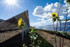 Yenilenebilir enerjinin payı yüzde 62,5'e yükseldi