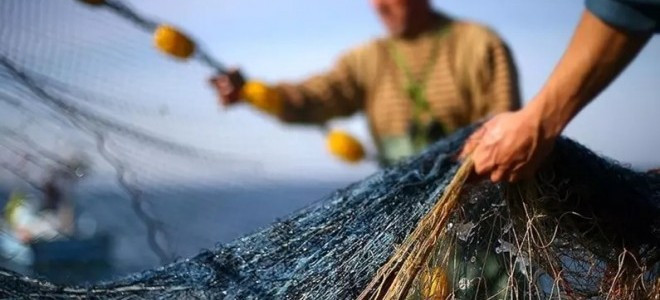 Yerli balıkları korumak için yeni öneri