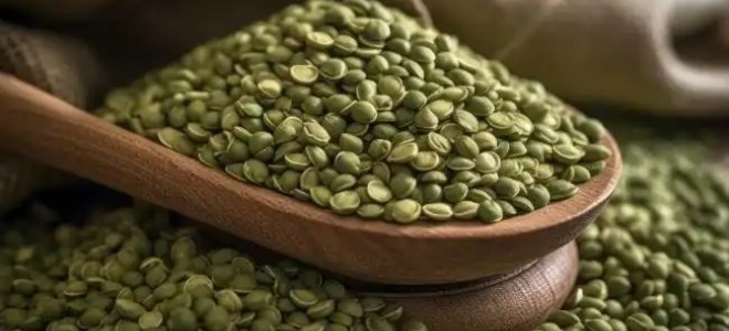 Yeşil mercimek ithalatında gümrük vergisi sıfırlandı