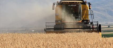 Yılbaşı öncesi 425 milyon liralık tarımsal destek