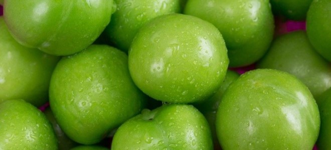 Yılın İlk Erik Fiyatı Rekor Seviyede